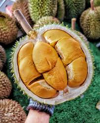 Durian Duri Hitam Premium