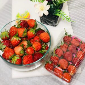 Strowberry Bandung (75)